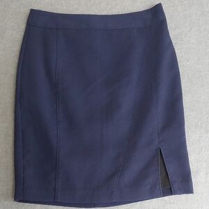 Banana Republic Dark Blue Pencil Skirt